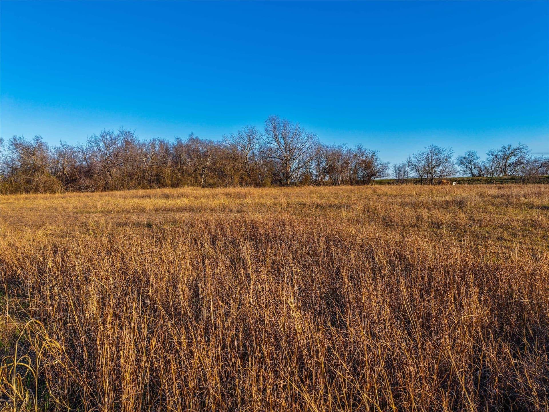 60.23 acres in Bell County - photo 19