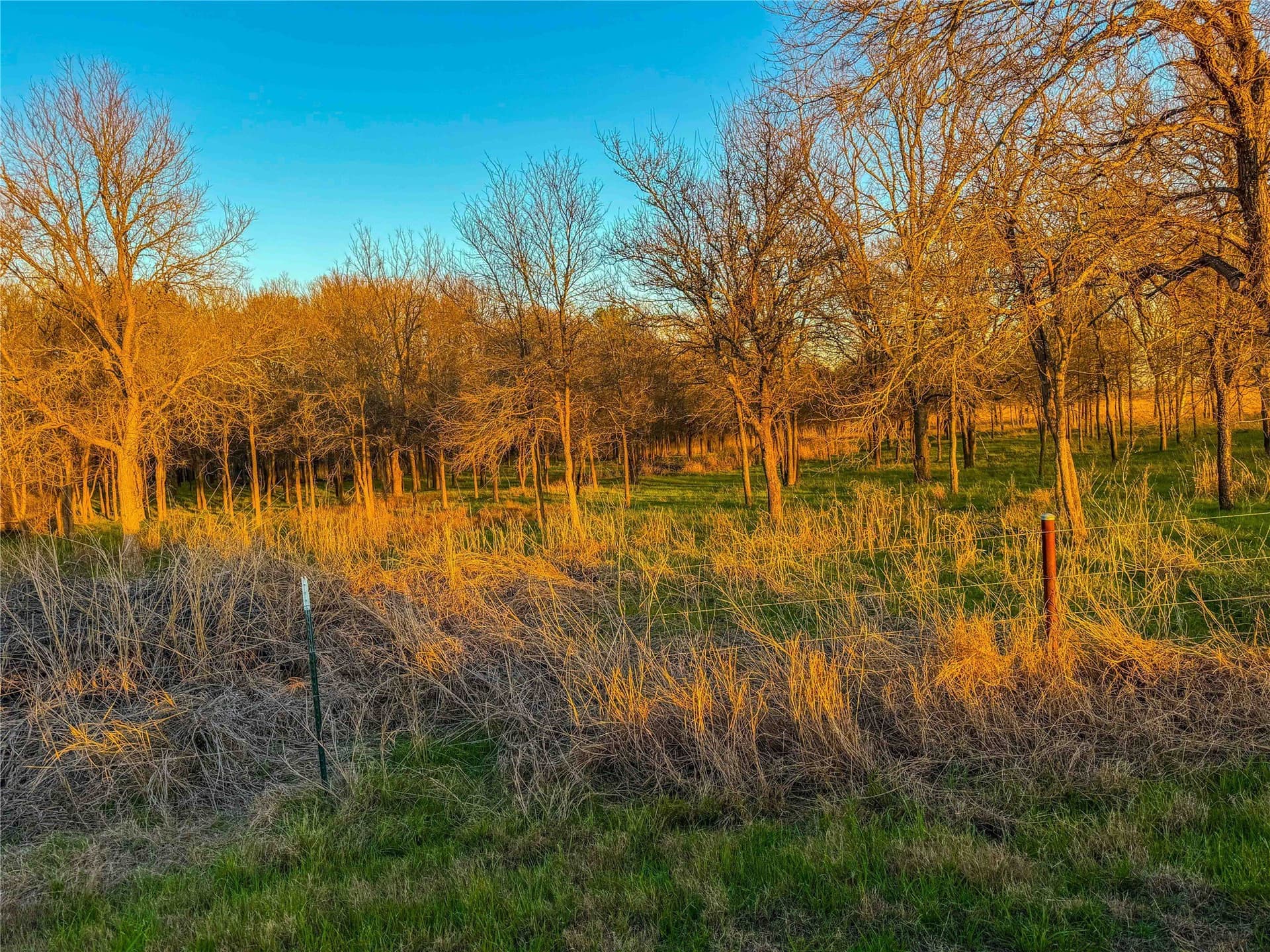60.23 acres in Bell County - photo 30