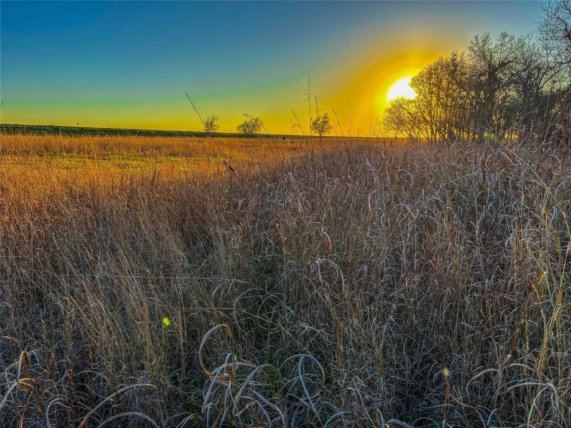 60.23 acres in Bell County - photo 18