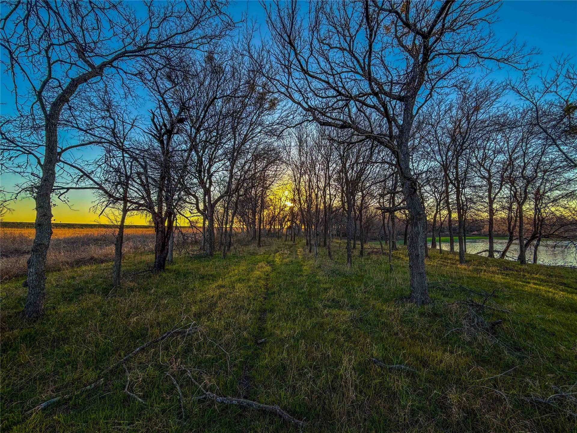 60.23 acres in Bell County - photo 20