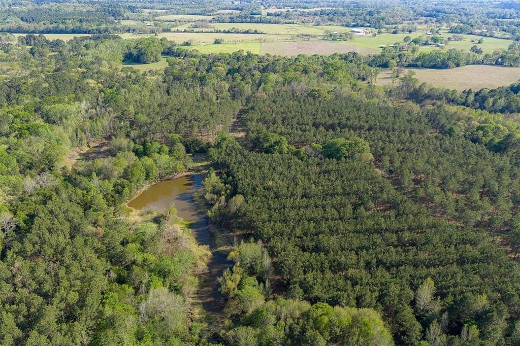 108.53 acres in Houston County