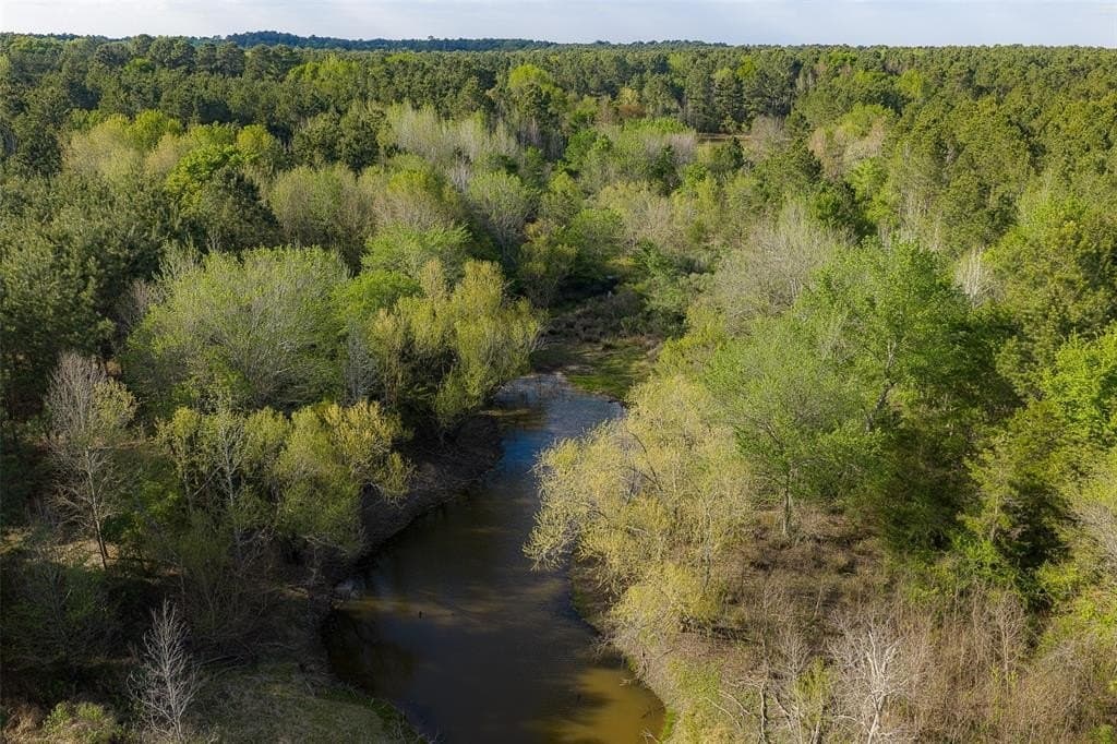 108.53 acres in Houston County gallery image 3