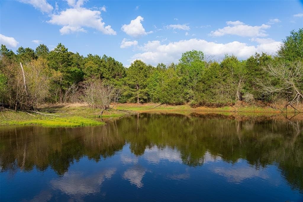 108.53 acres in Houston County gallery image 4