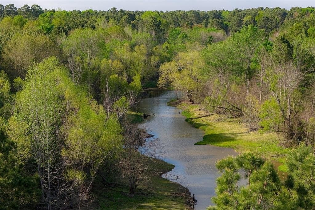 108.53 acres in Houston County gallery image 2