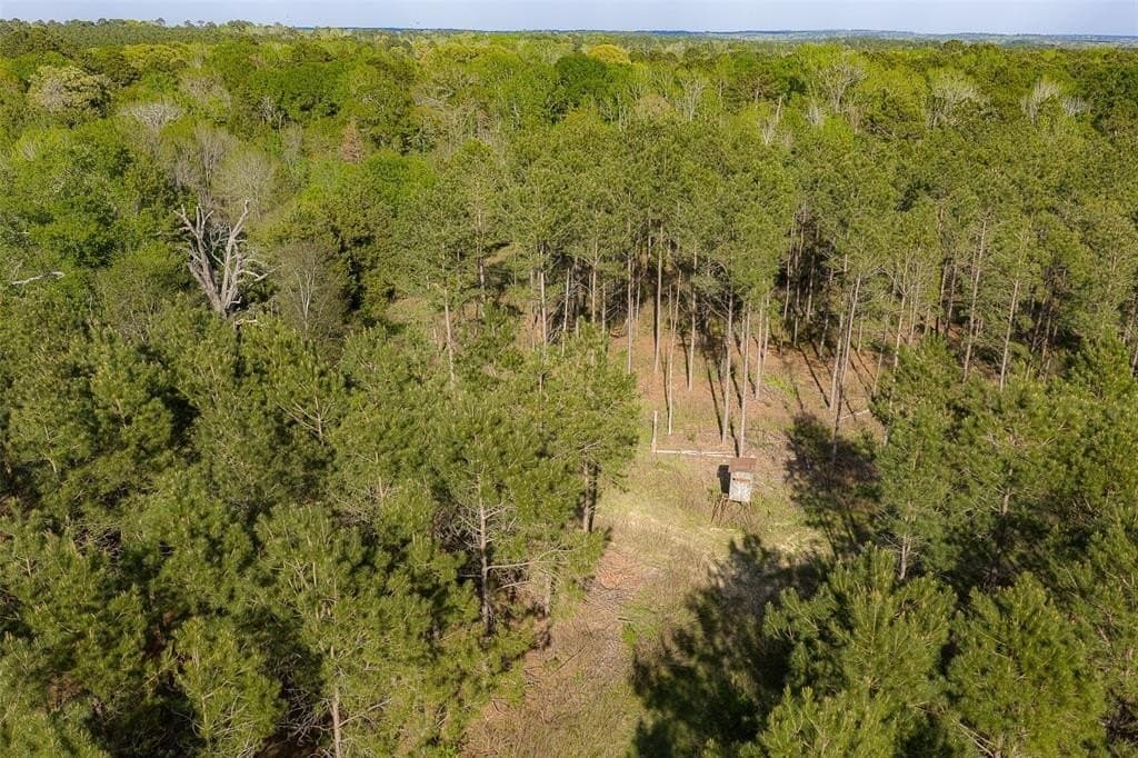 108.53 acres in Houston County featured view
