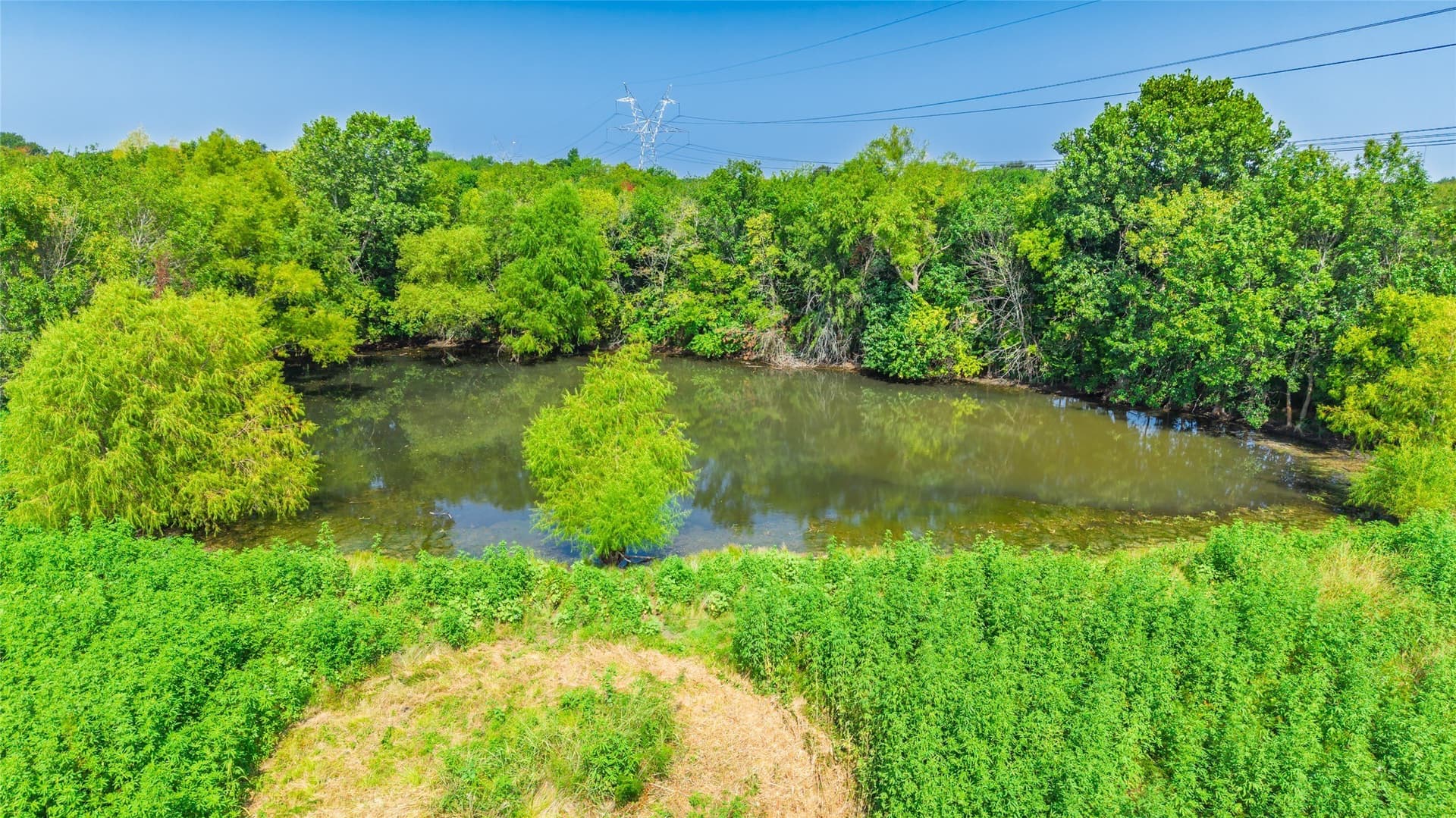 62.3 acres in Hunt County - photo 6