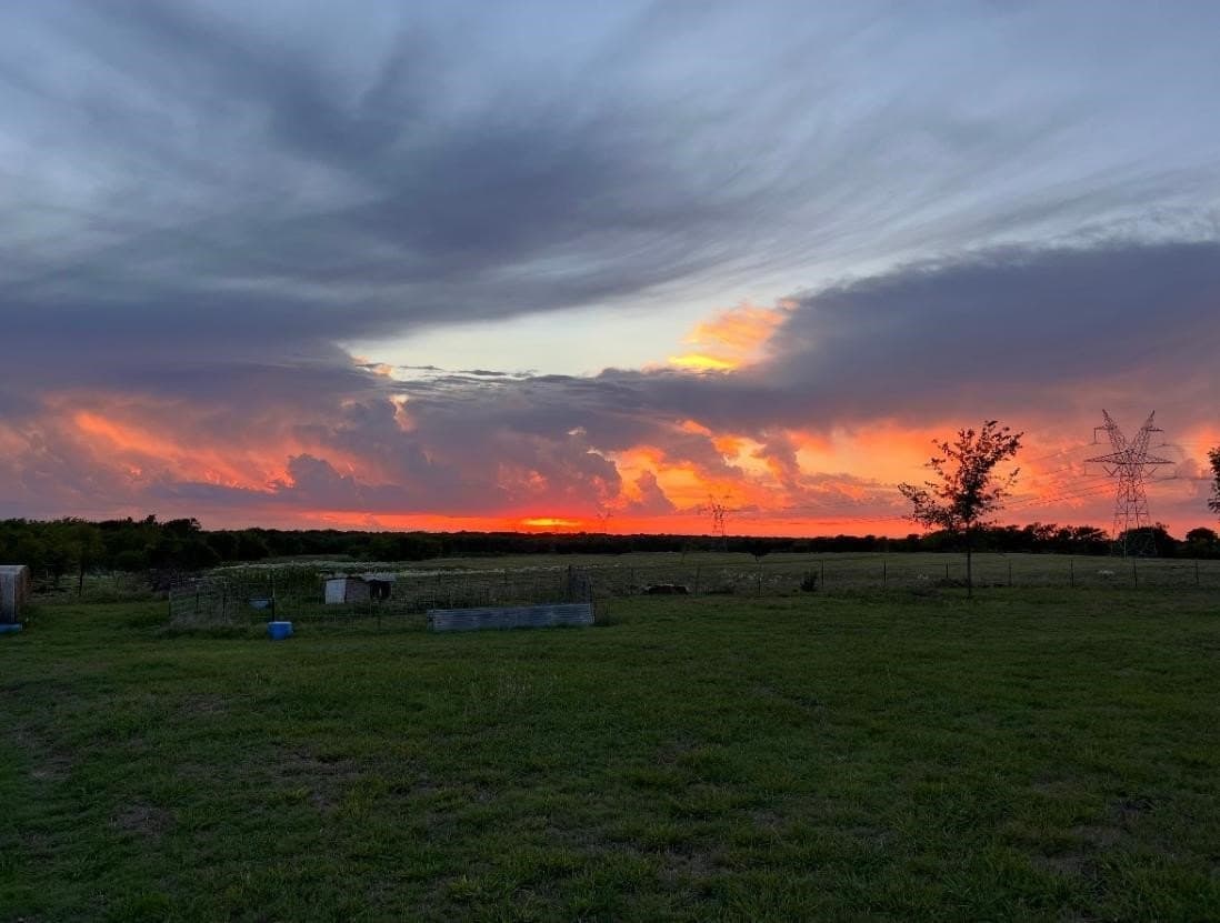 62.3 acres in Hunt County - photo 7