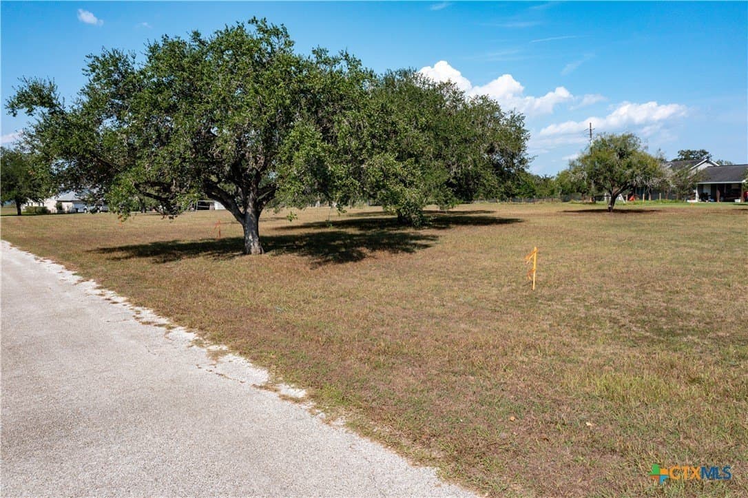 0.4 acres in Goliad County - photo 8