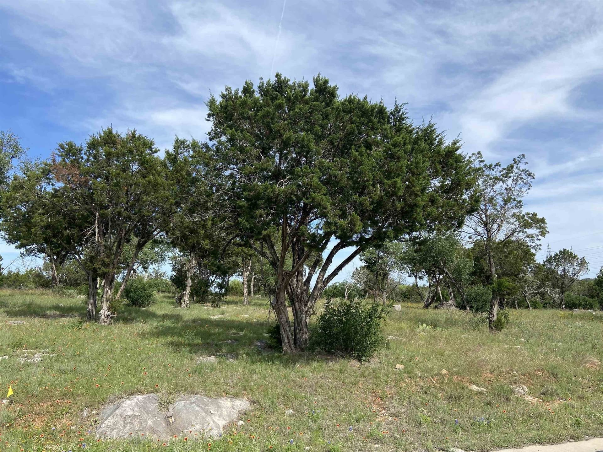 0.31 acres in Burnet County gallery image 4