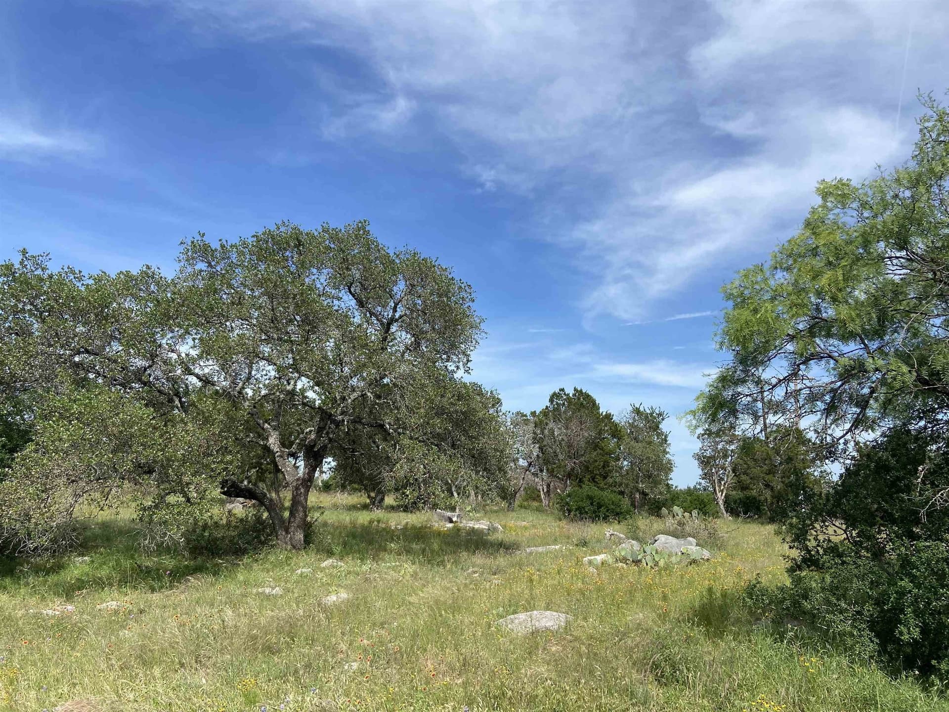 0.31 acres in Burnet County gallery image 2