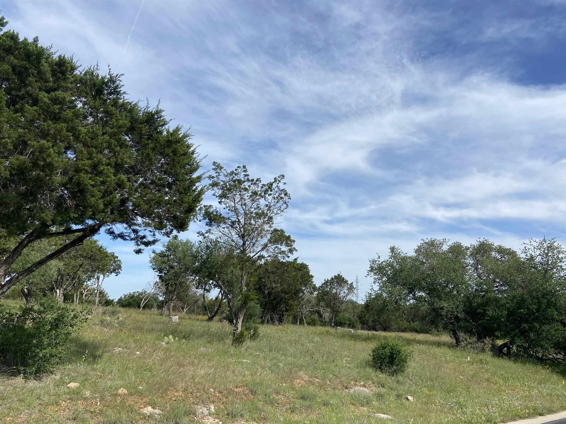 0.31 acres in Burnet County gallery image 3