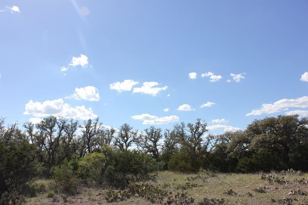 88 acres in Texas County - photo 9