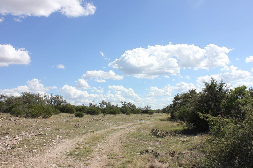 88 acres in Texas County - photo 6