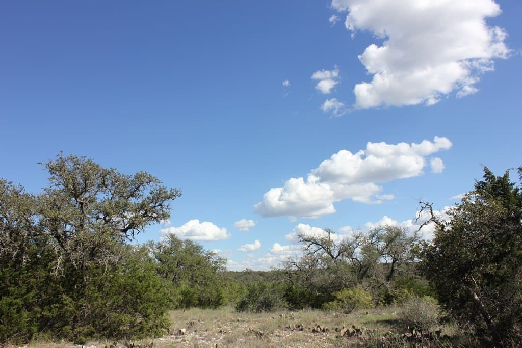 88 acres in Texas County - photo 12