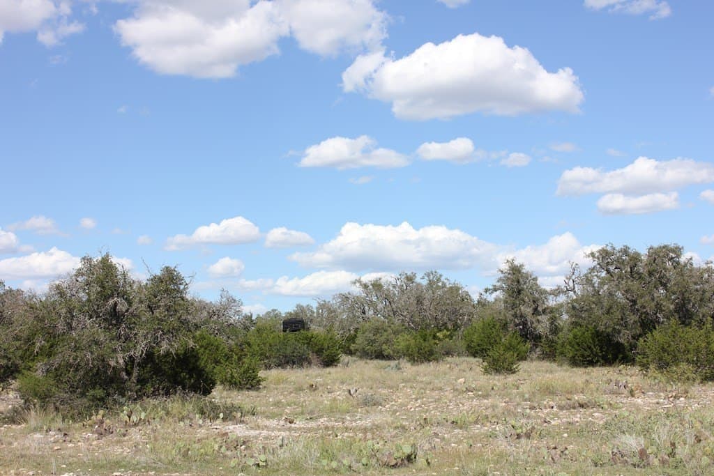 88 acres in Texas County - photo 7