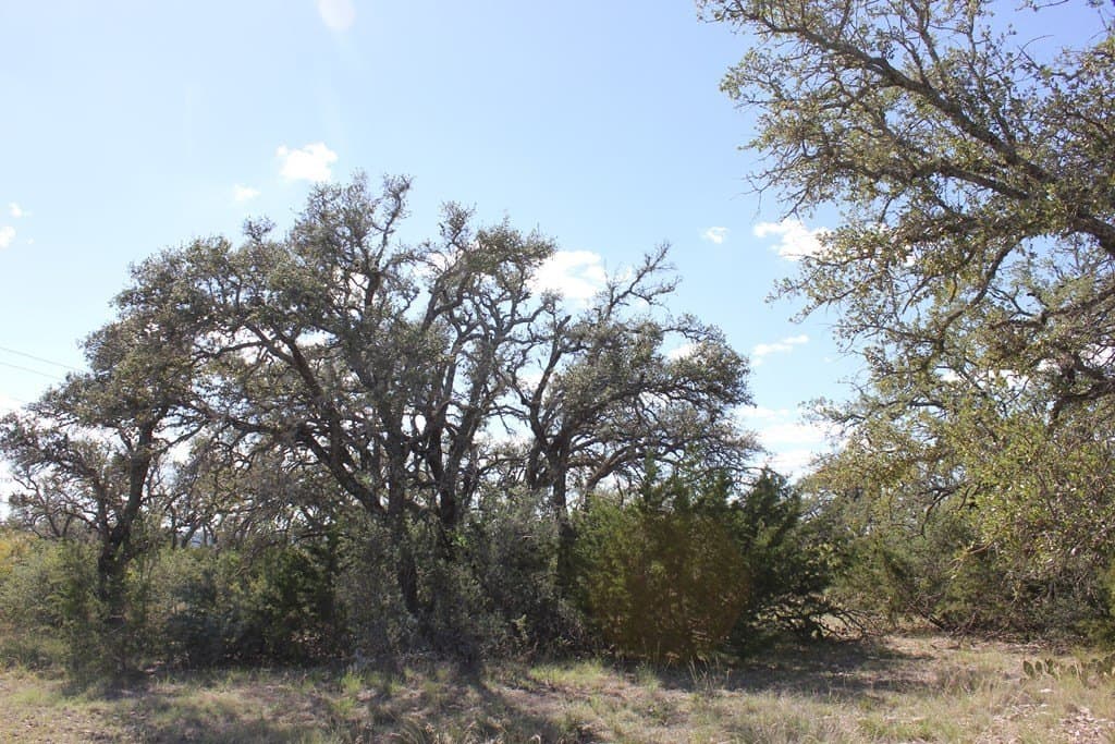 88 acres in Texas County - photo 11