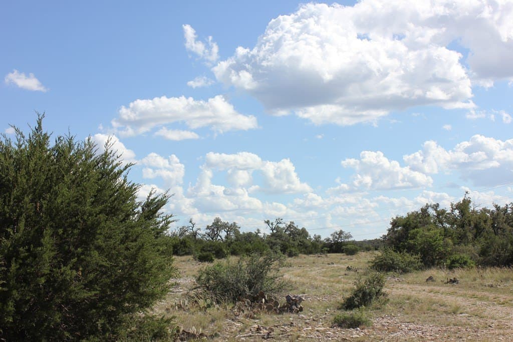 88 acres in Texas County - photo 4