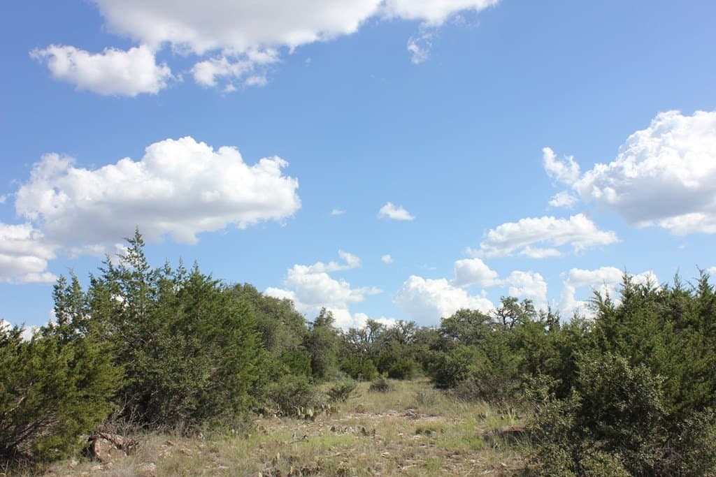 88 acres in Texas County - photo 2