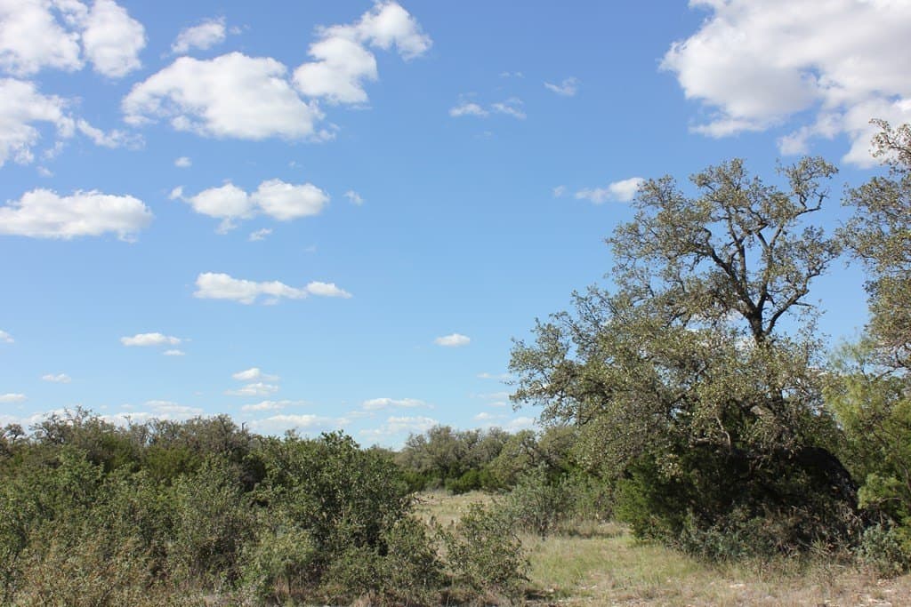 88 acres in Texas County - photo 18