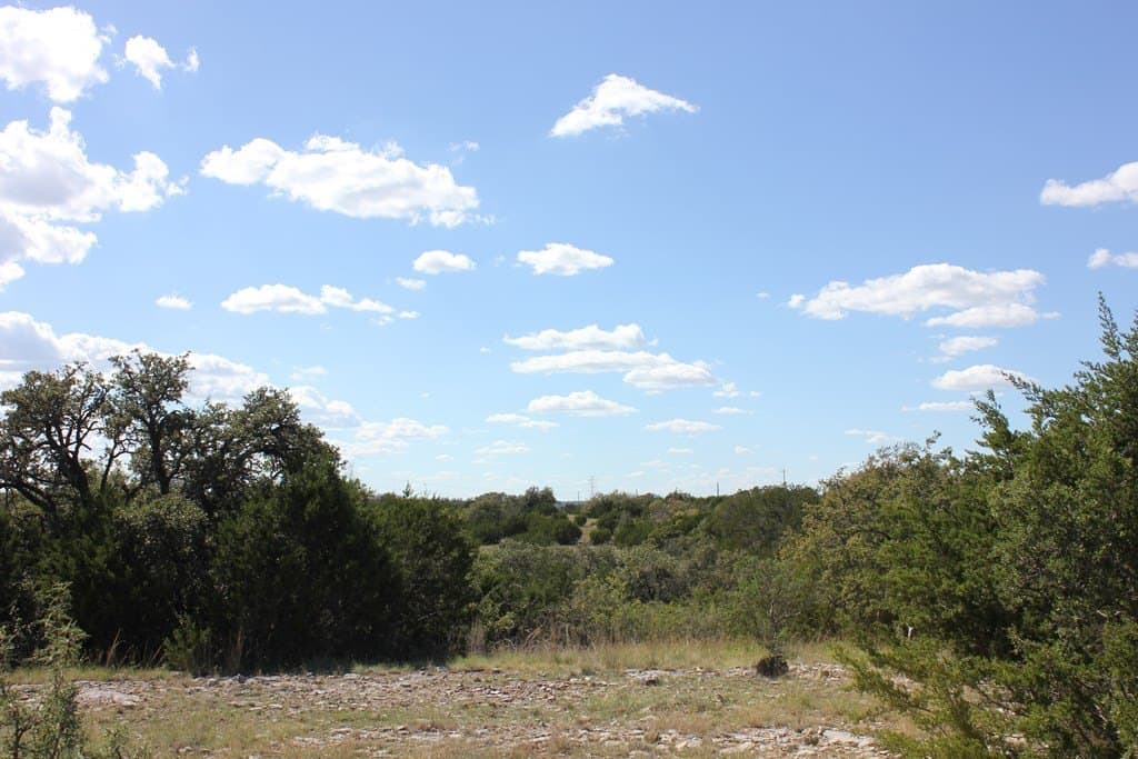 88 acres in Texas County - photo 3