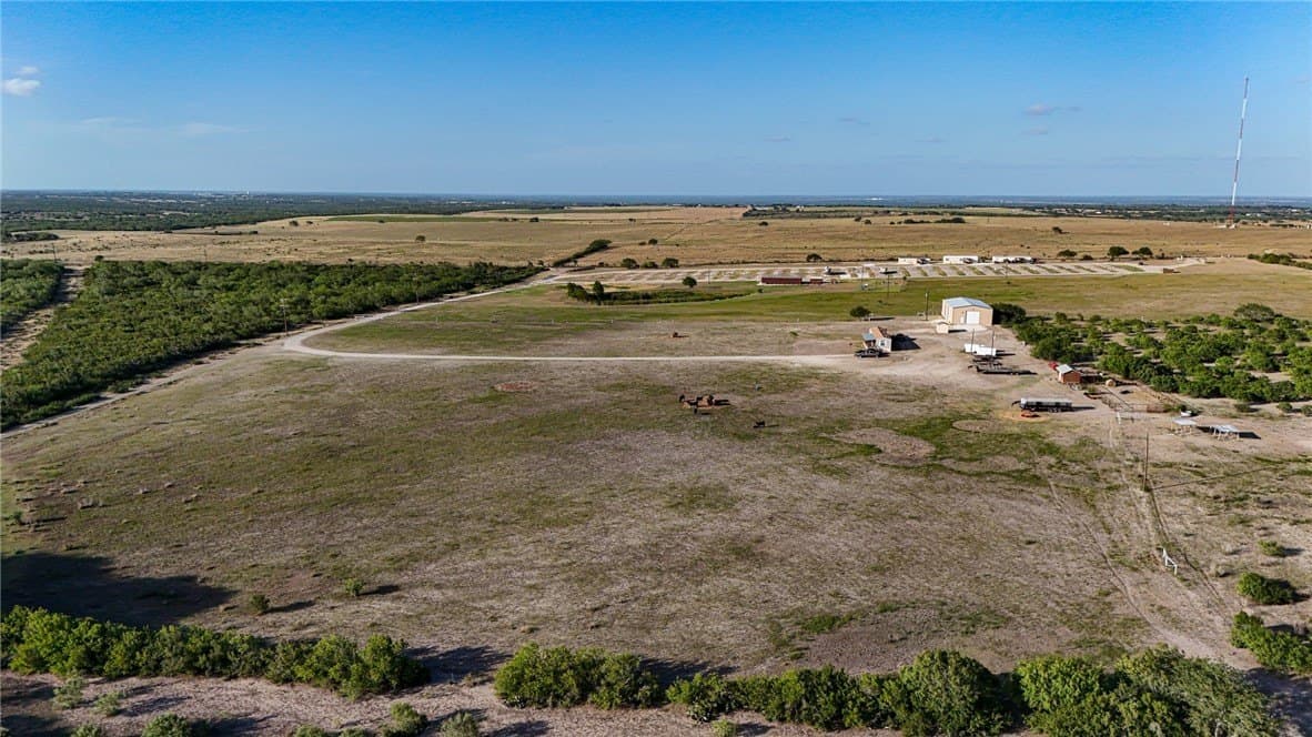 80 acres in Live Oak County gallery image 4