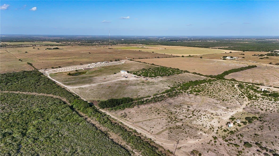 80 acres in Live Oak County gallery image 2