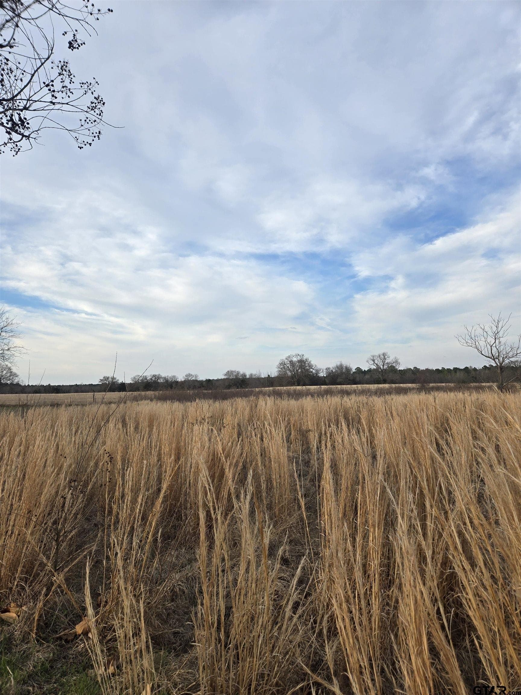 0.5 acres in Wood County gallery image 2