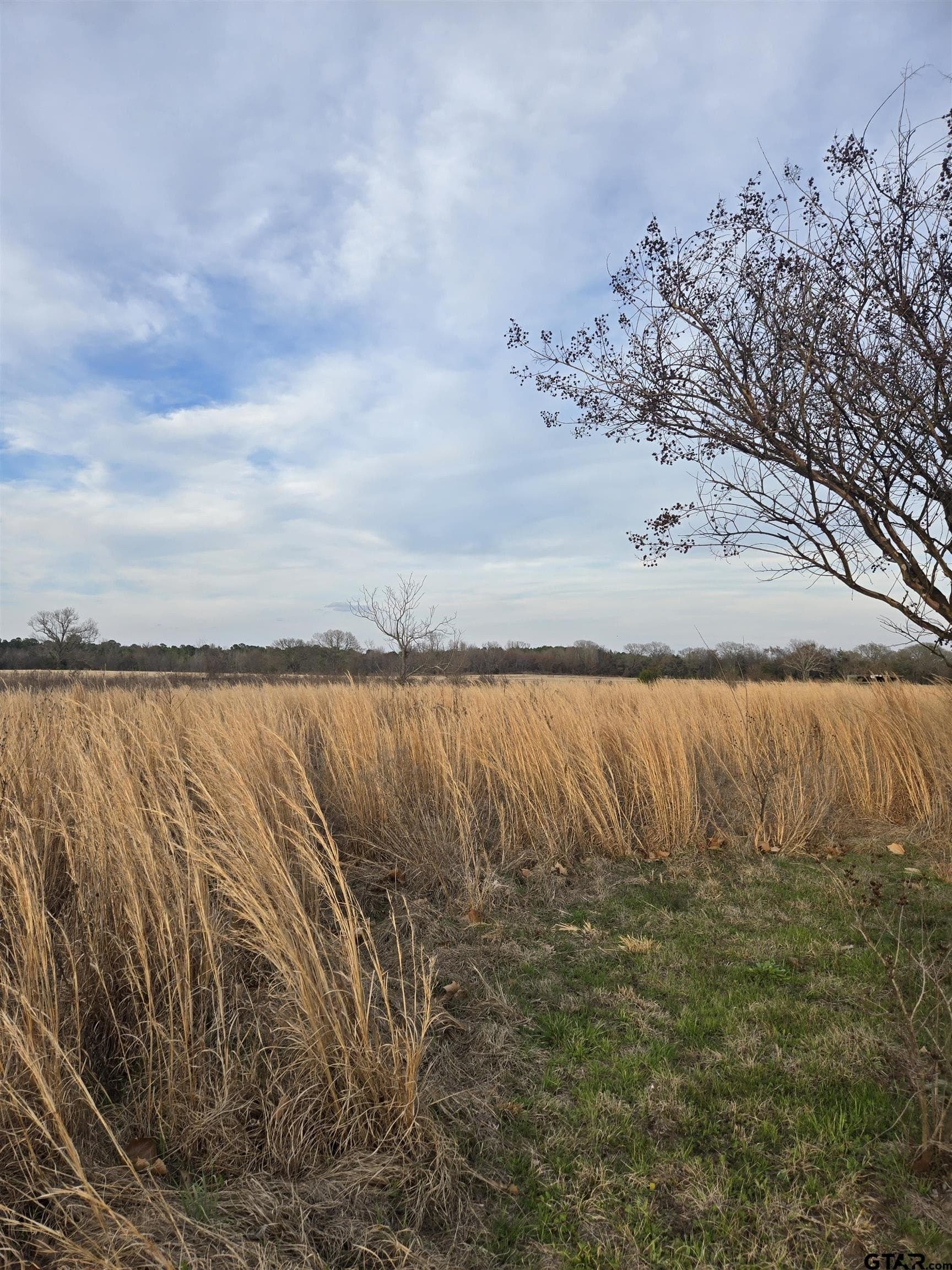 0.5 acres in Wood County gallery image 4