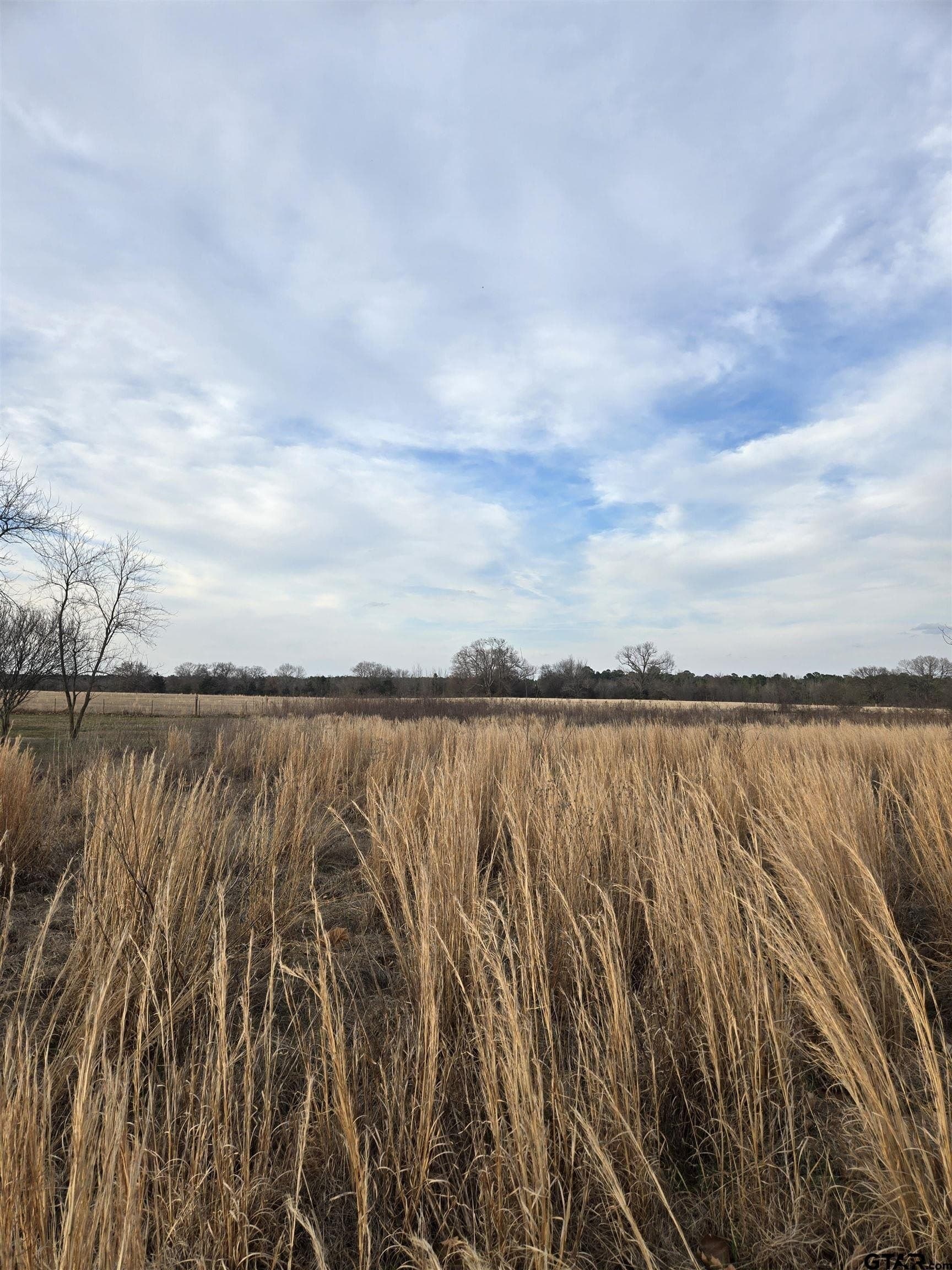 0.5 acres in Wood County featured view