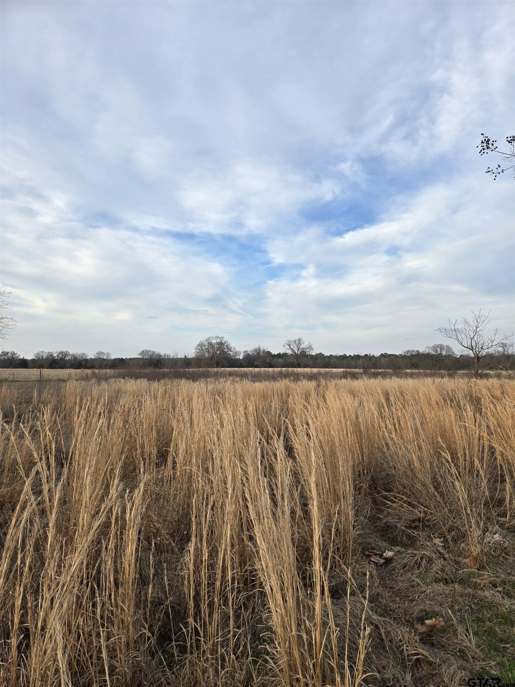 0.5 acres in Wood County gallery image 3