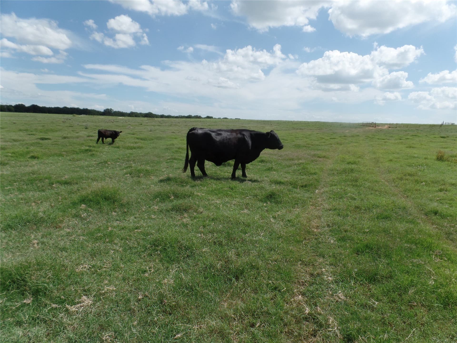 11.12 acres in Erath County - photo 2