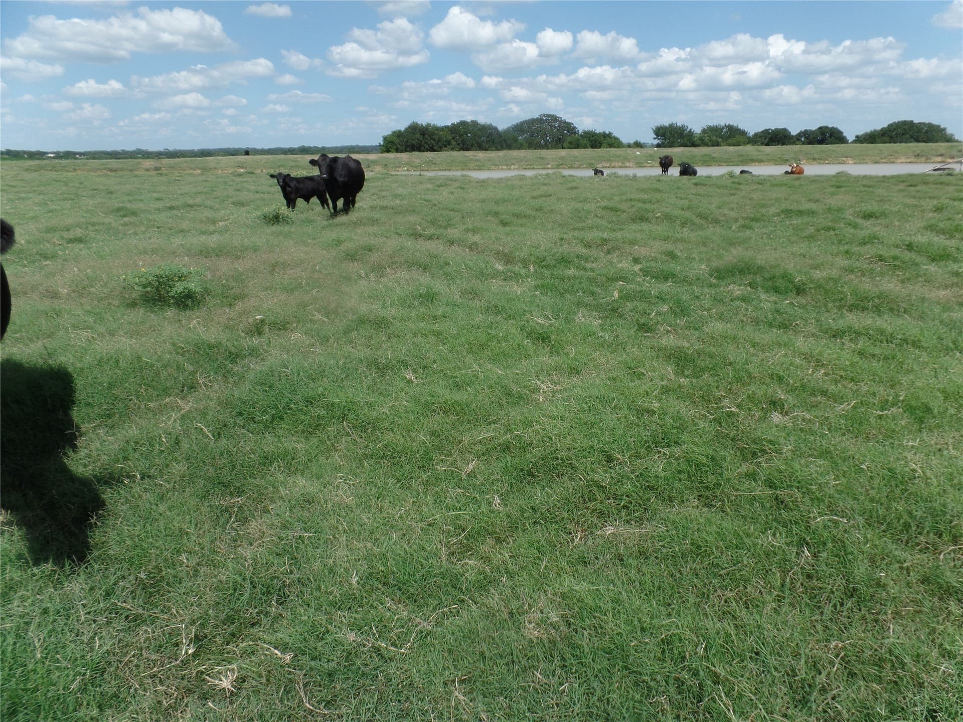 11.12 acres in Erath County - photo 3
