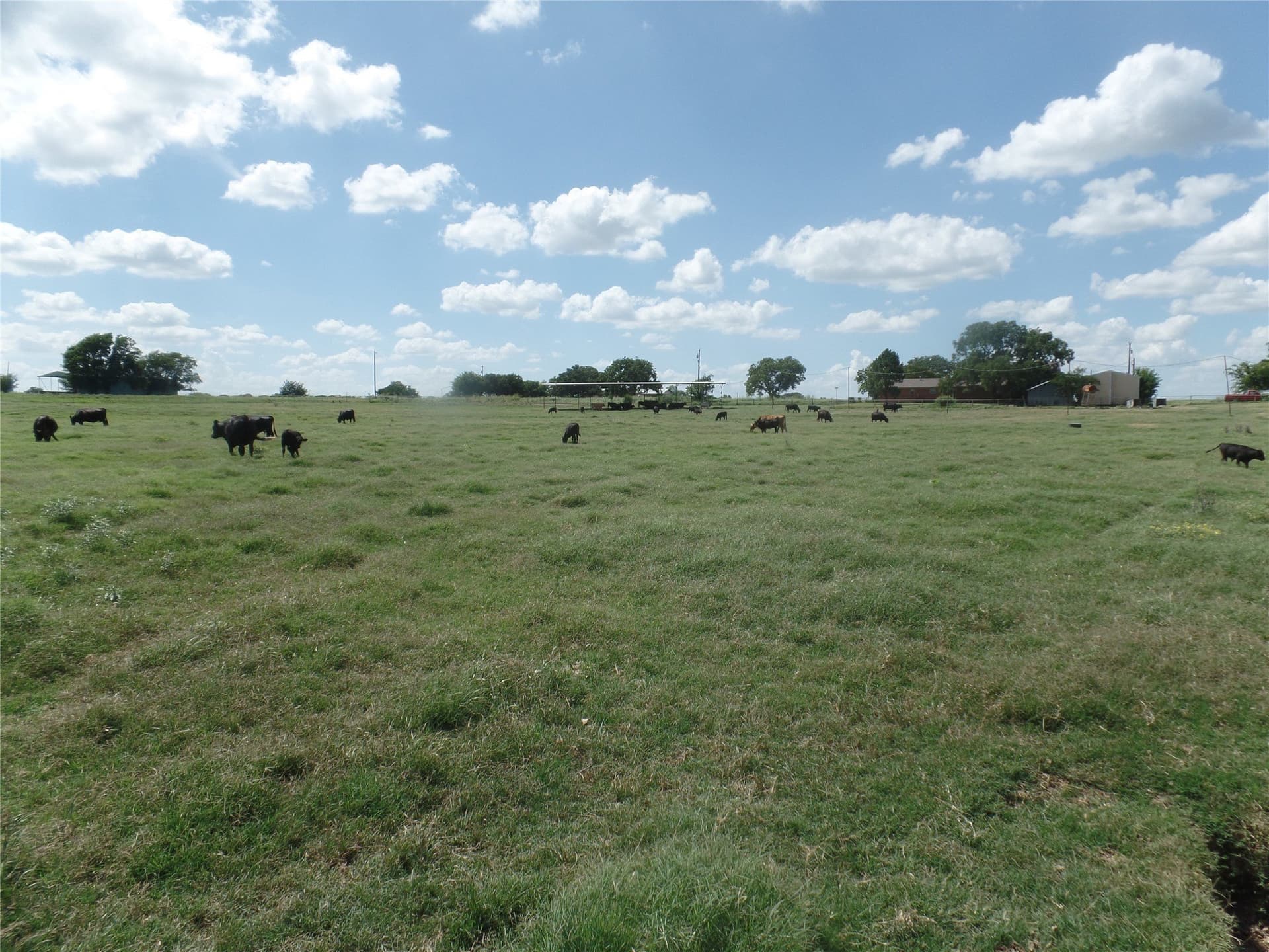 11.12 acres in Erath County - photo 4