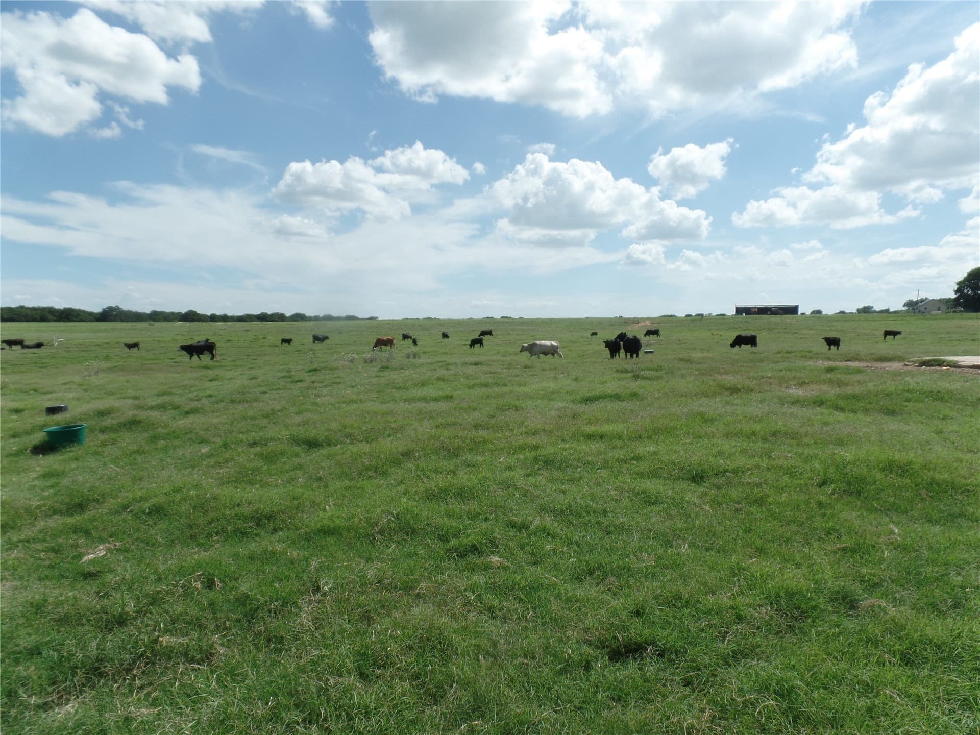 11.12 acres in Erath County - photo 5