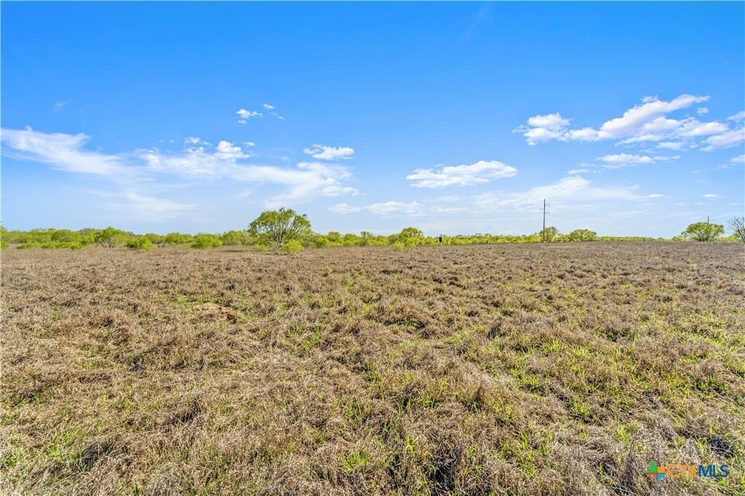 21 acres in Guadalupe County gallery image 4