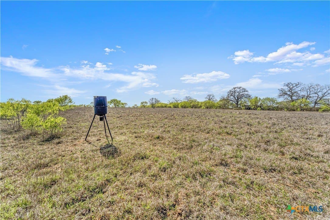 21 acres in Guadalupe County gallery image 3