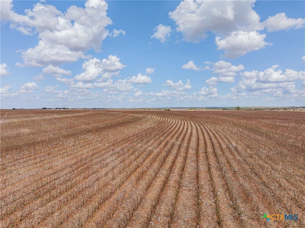 240 acres in Travis County - photo 30