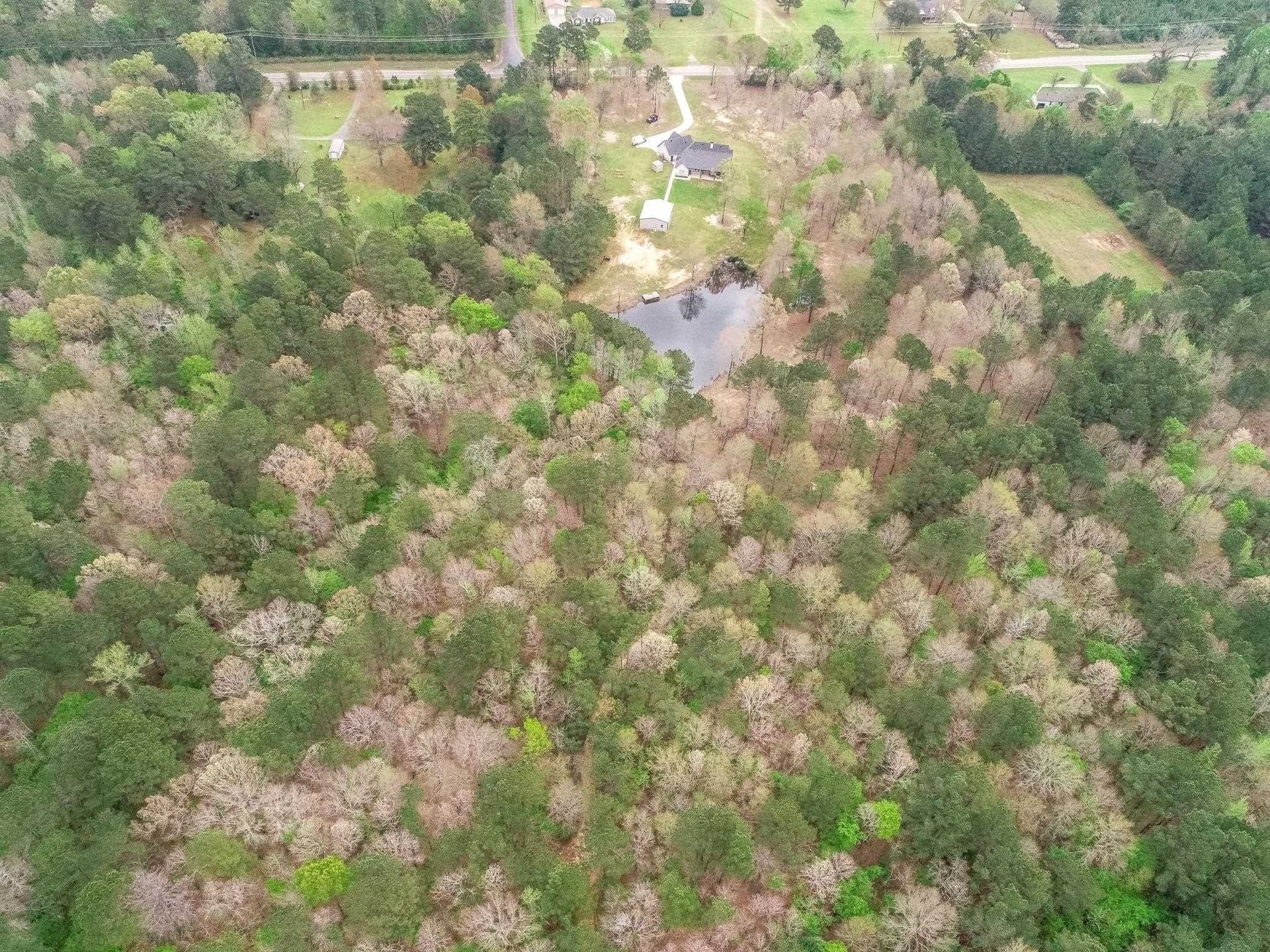81.24 acres in Panola County - photo 43