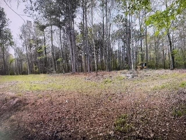 81.24 acres in Panola County - photo 48