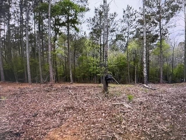 81.24 acres in Panola County - photo 46