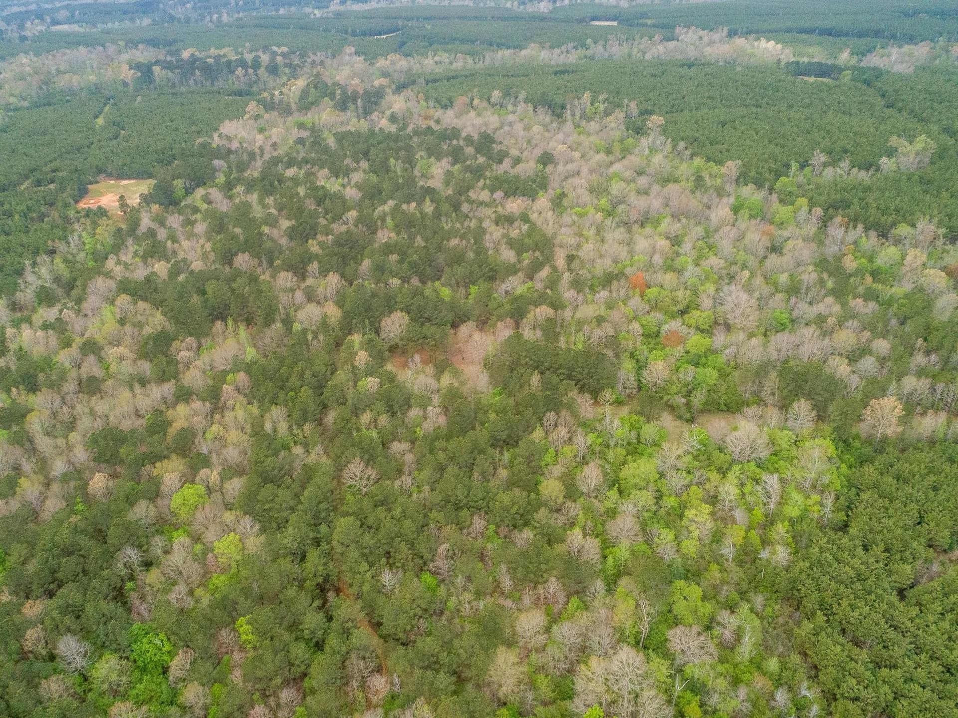 81.24 acres in Panola County - photo 41