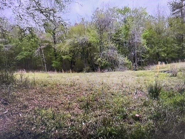 81.24 acres in Panola County - photo 47