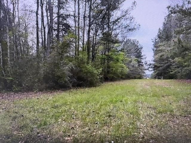 81.24 acres in Panola County - photo 45