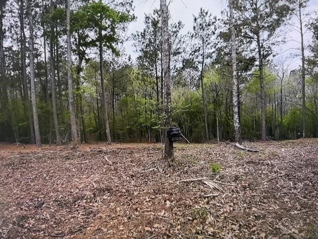 81.24 acres in Panola County - photo 50
