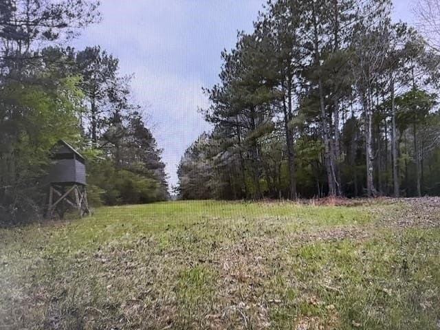 81.24 acres in Panola County - photo 49