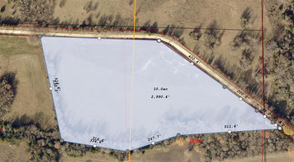 10 acres in Fannin County gallery image 2