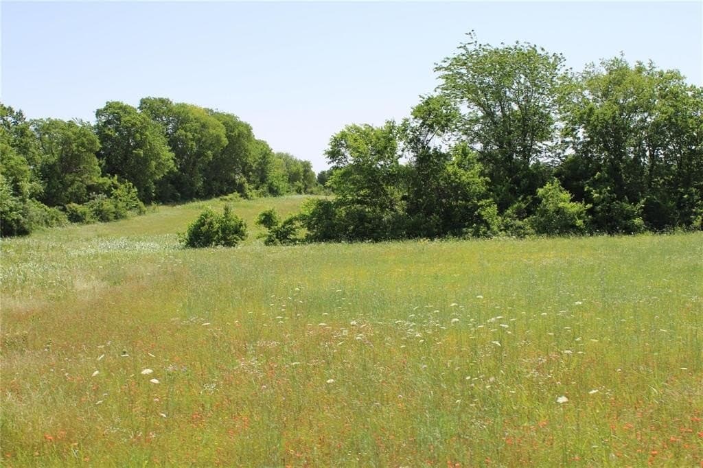 10 acres in Fannin County