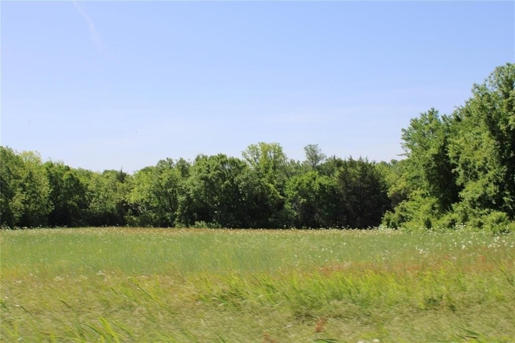 10 acres in Fannin County gallery image 3