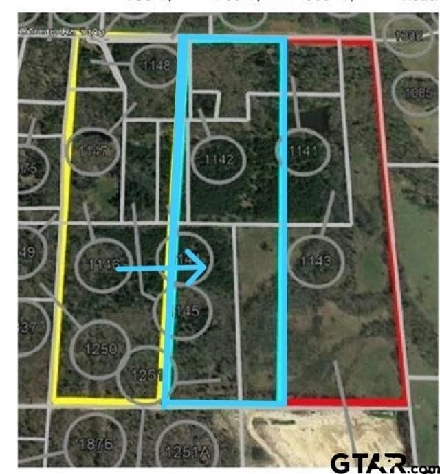 40 acres in Titus County gallery image 4