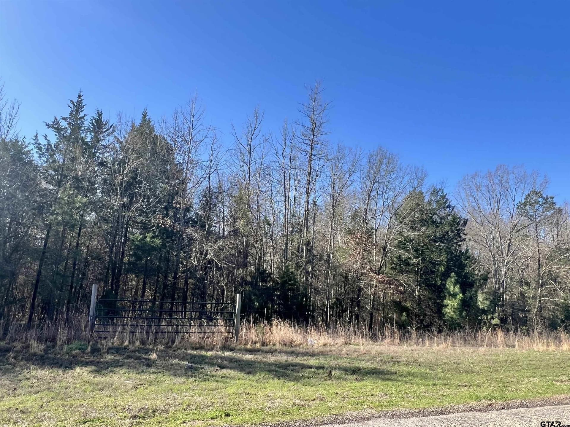 40 acres in Titus County